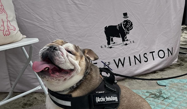 Beach, Bulldogs & Sunshine