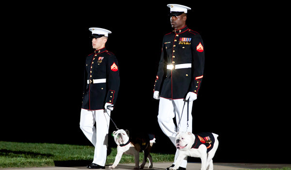 Happy Memorial Day πΊπΈ