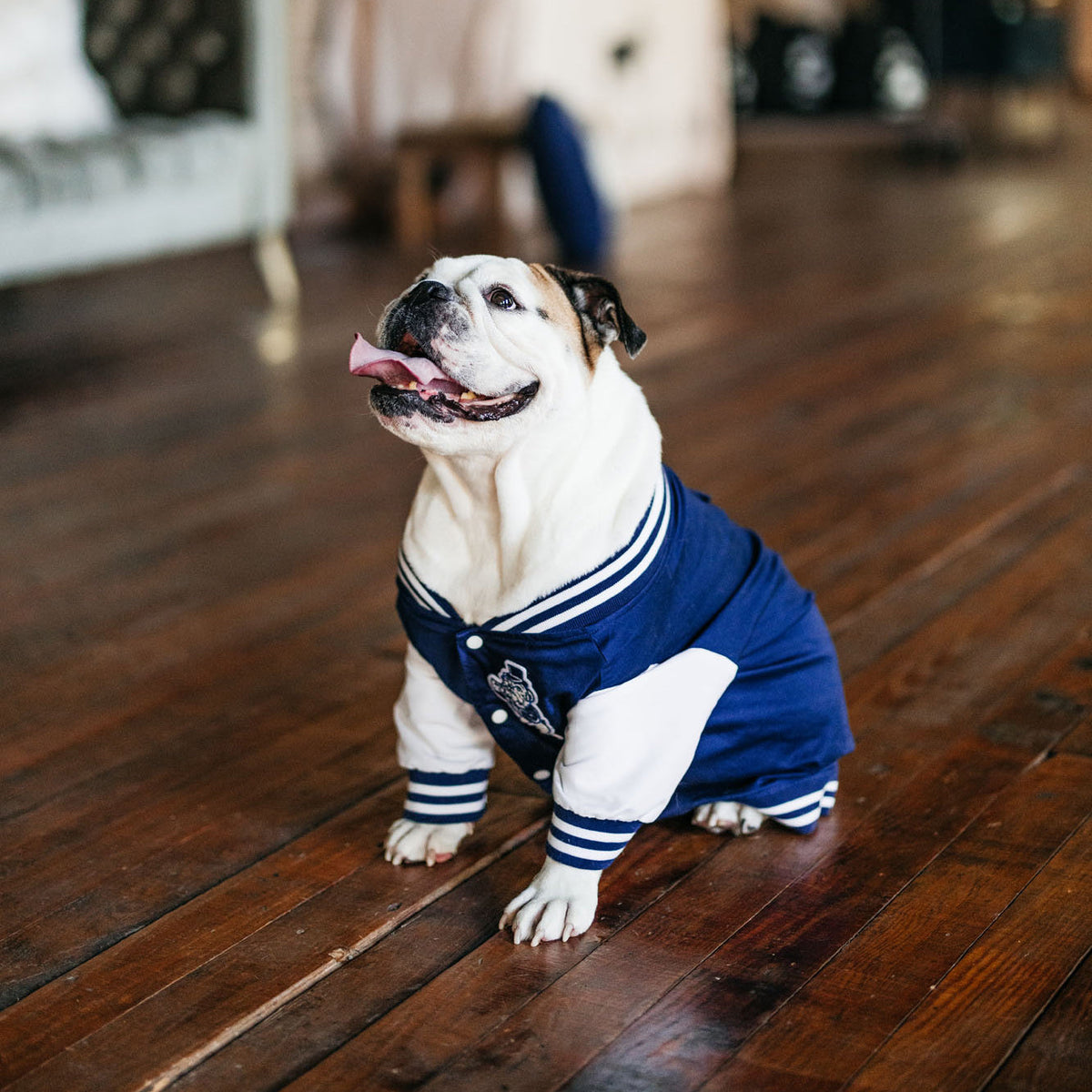 D&W x WONTON COLLECTION – Duke & Winston