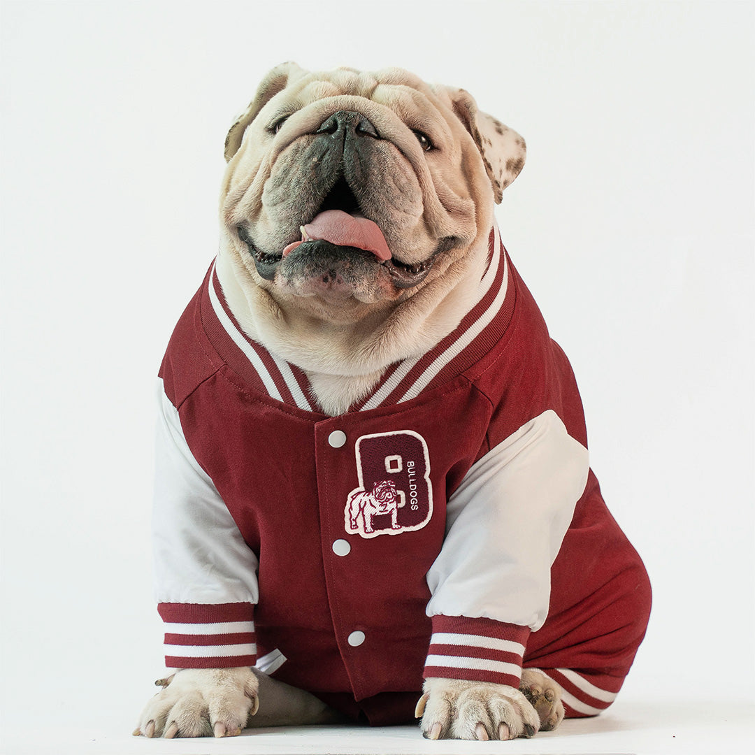 Go Bulldogs Bomber Jacket (Maroon)