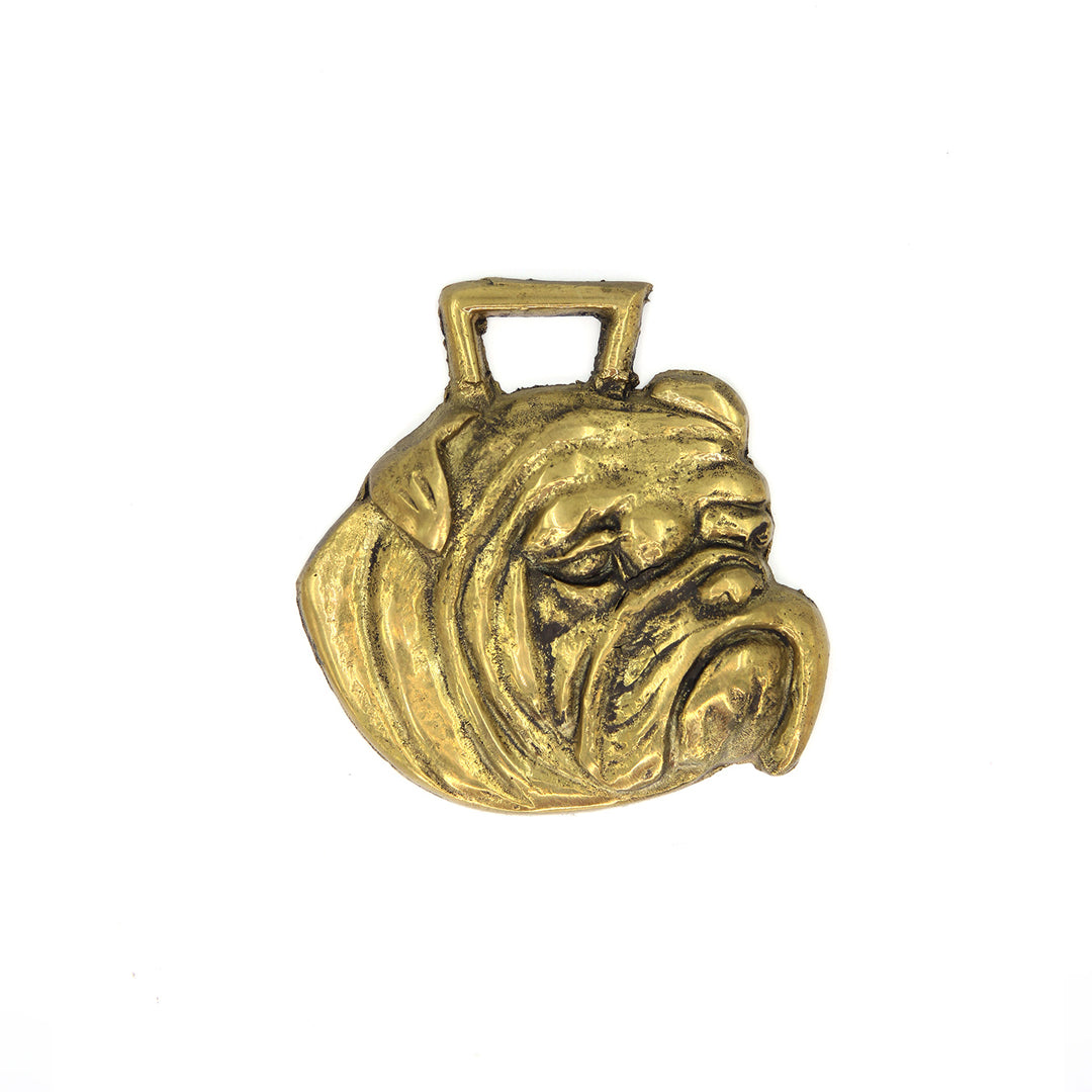 Vintage Bulldog Horse Brass 1