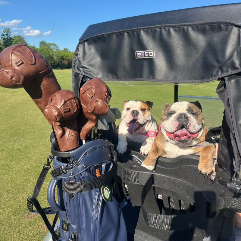 Leather Bulldog Golf Headcovers (3 Set)