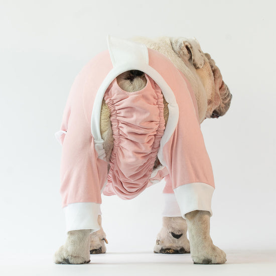 Bulldog Jammies (Pink)