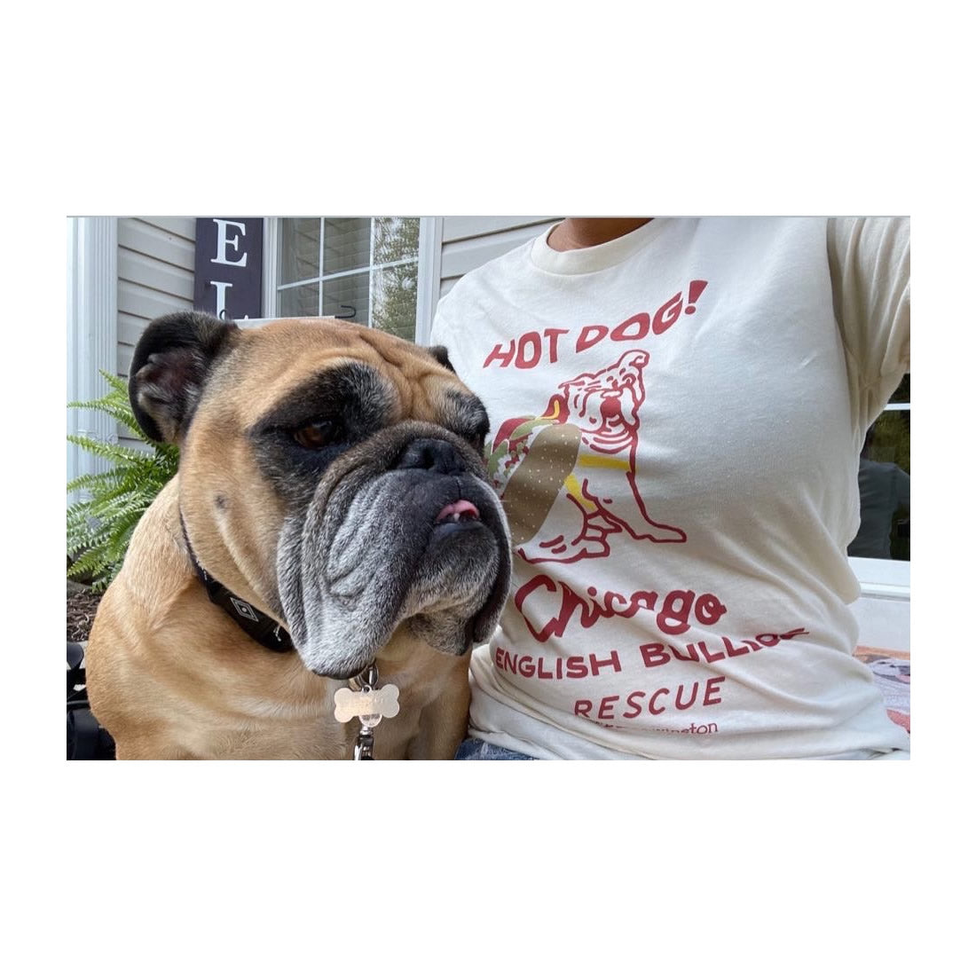 Chicago English Bulldog Rescue Tee