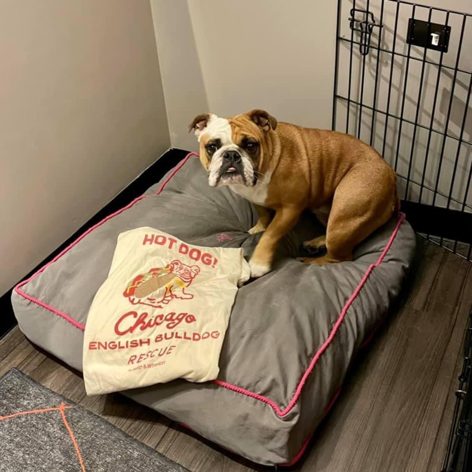 Chicago English Bulldog Rescue Tee