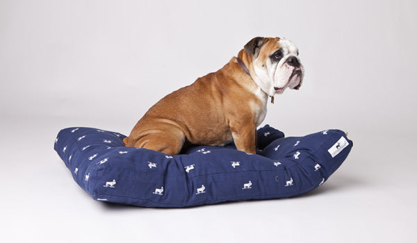 Revisiting D&W Dog Beds