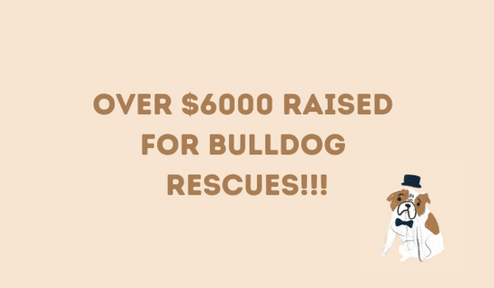 $6000 Donated to Bulldog Rescues