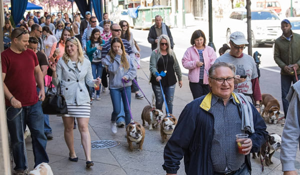 Throwback: Bulldog Parade, 2015.