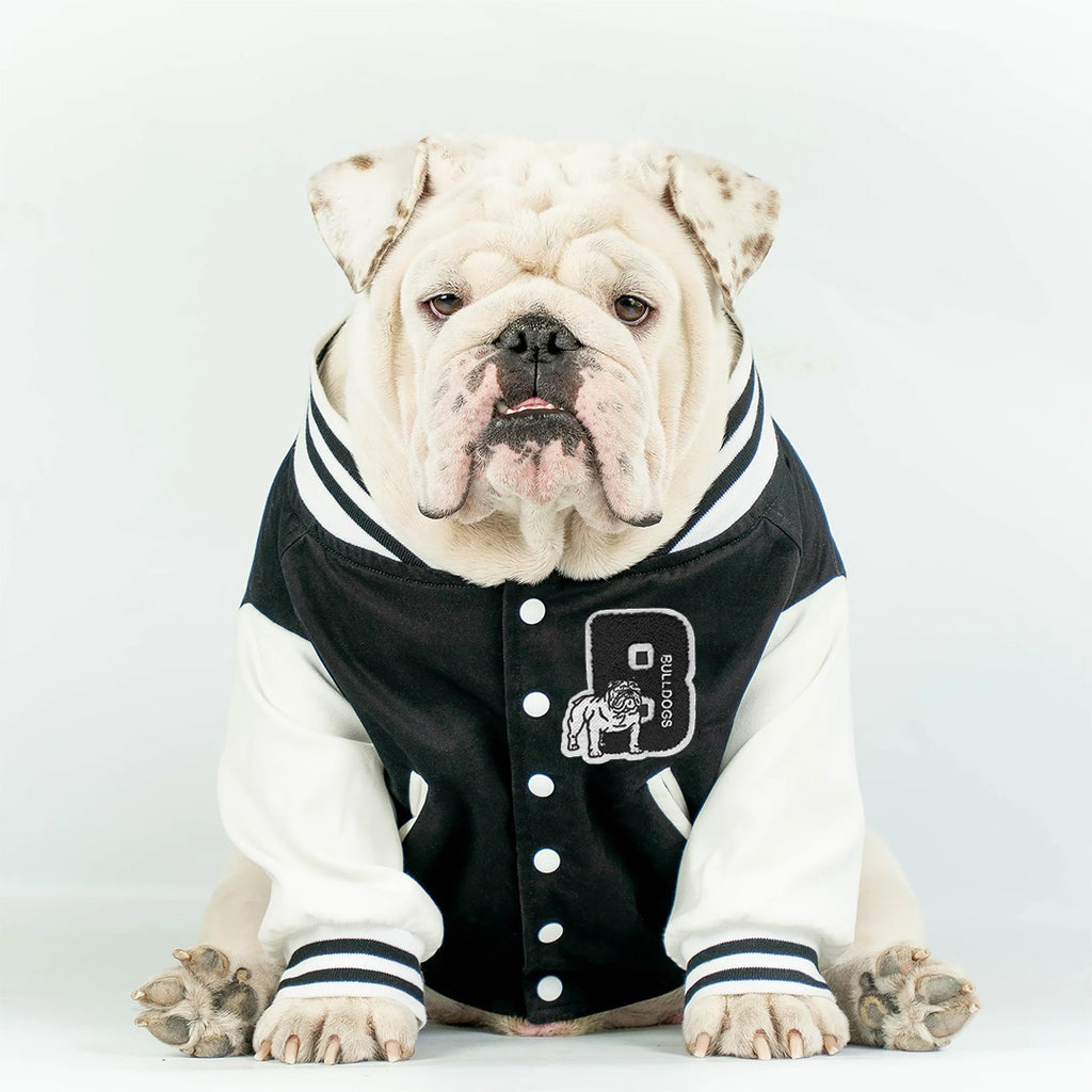 Go Bulldogs Bomber Jacket (Black) – Duke & Winston
