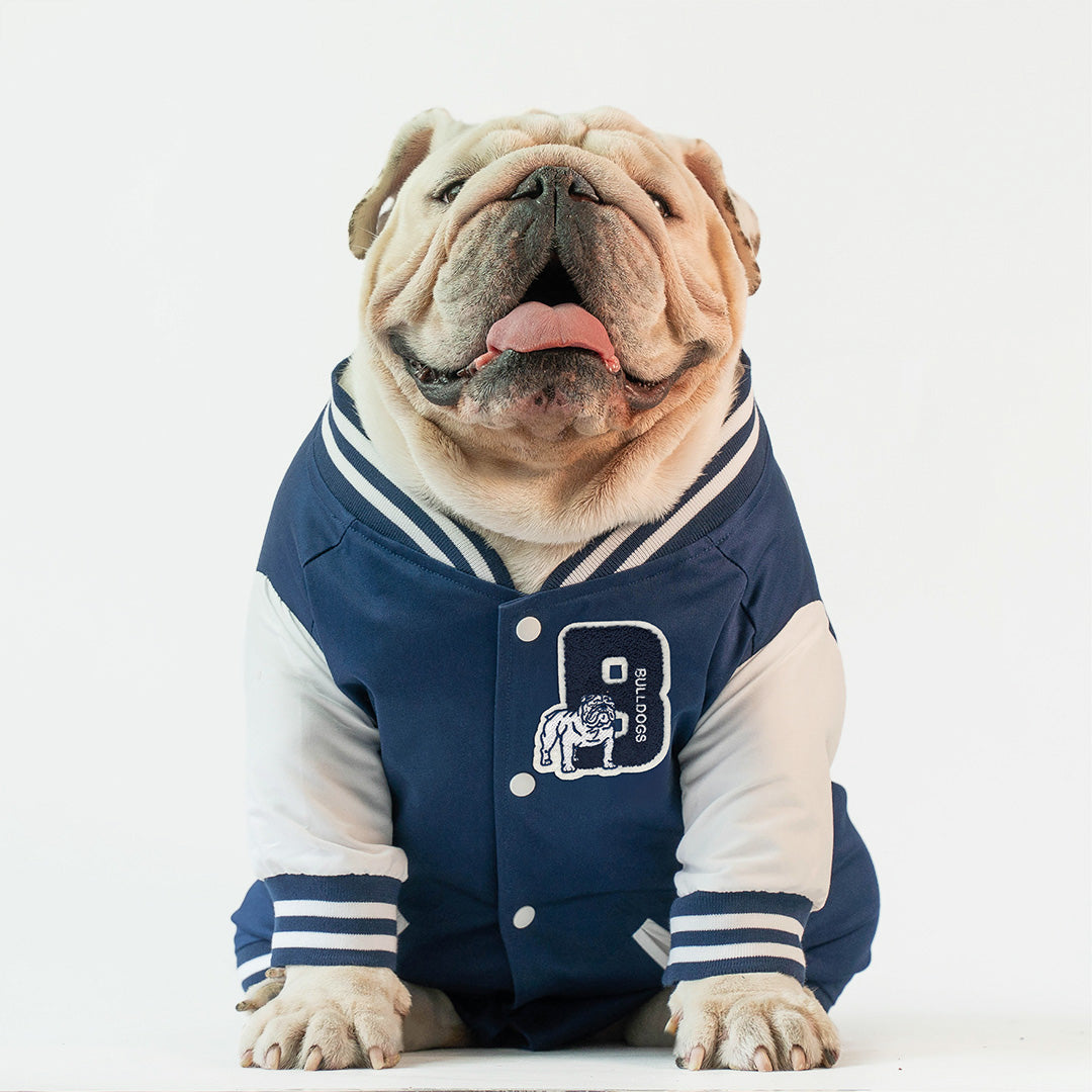 Go Bulldogs Bomber Jacket Navy