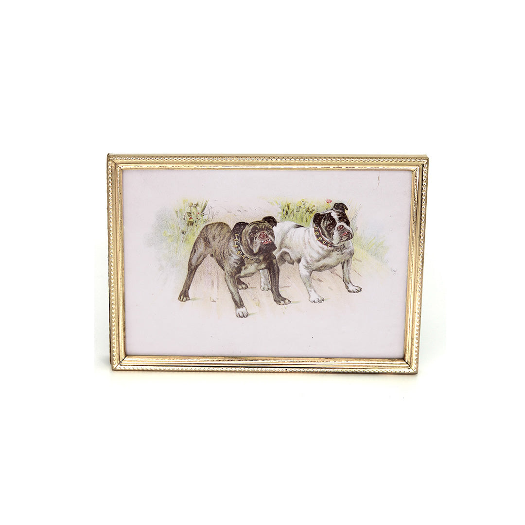 Vintage 1906 Bulldog Lithograph (Gold Framed) - SOLD