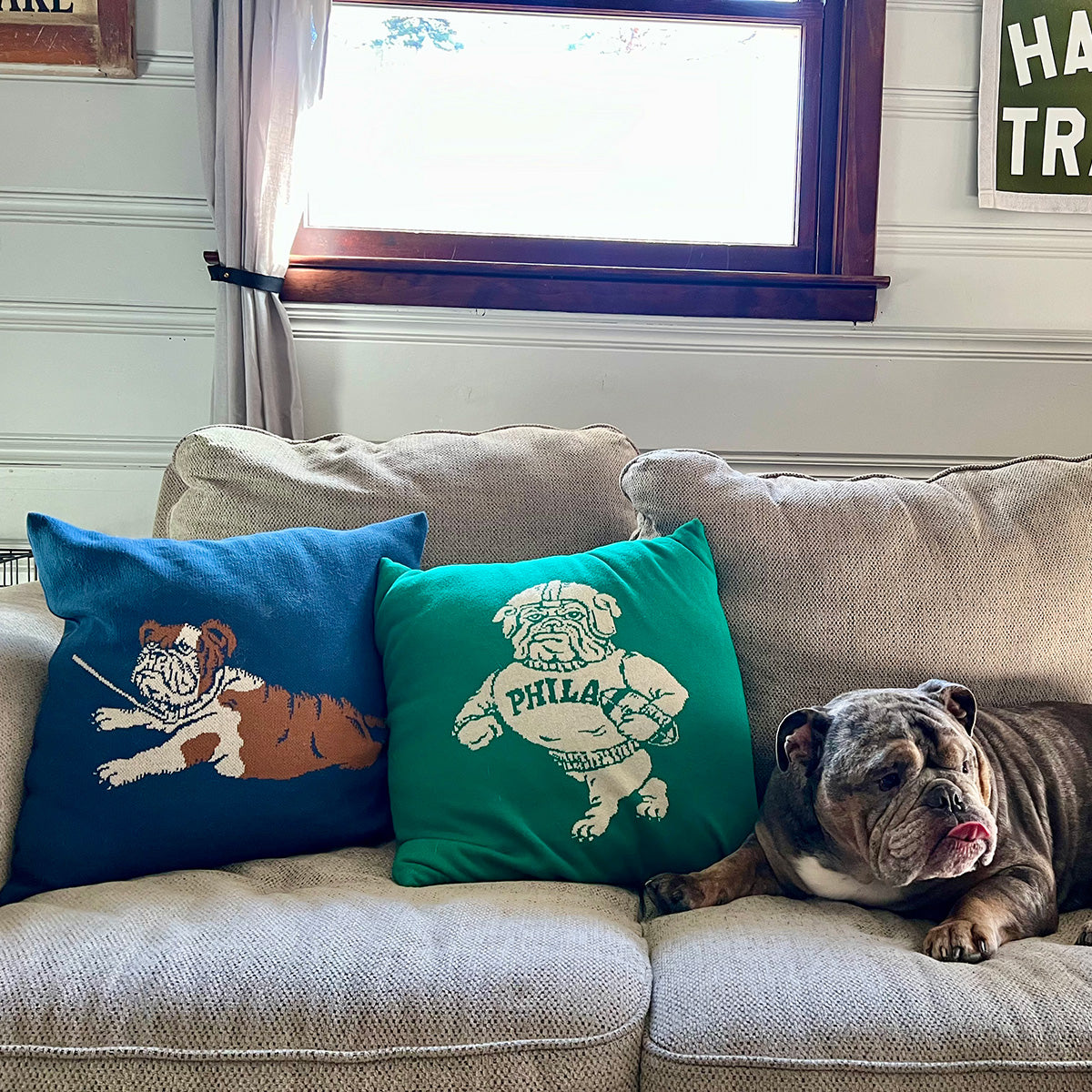 Phila Bulldog Throw Pillow (Kelly Green)
