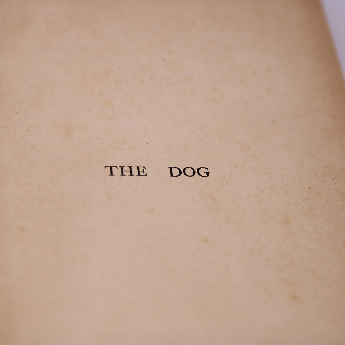 The Dog in Health and Disease 1st Ed (1906)