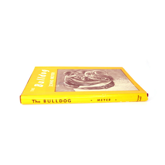 The Bulldog by Enno Meyer, 1960 #2 (SOLD)