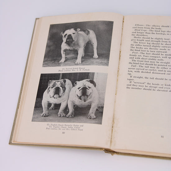 The New Complete Bulldog (1961) - SOLD