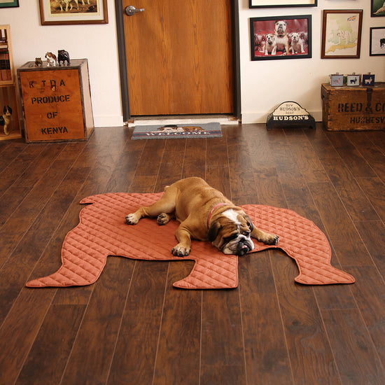 Bulldog Shape Dog Mat (Nutmeg Brown)