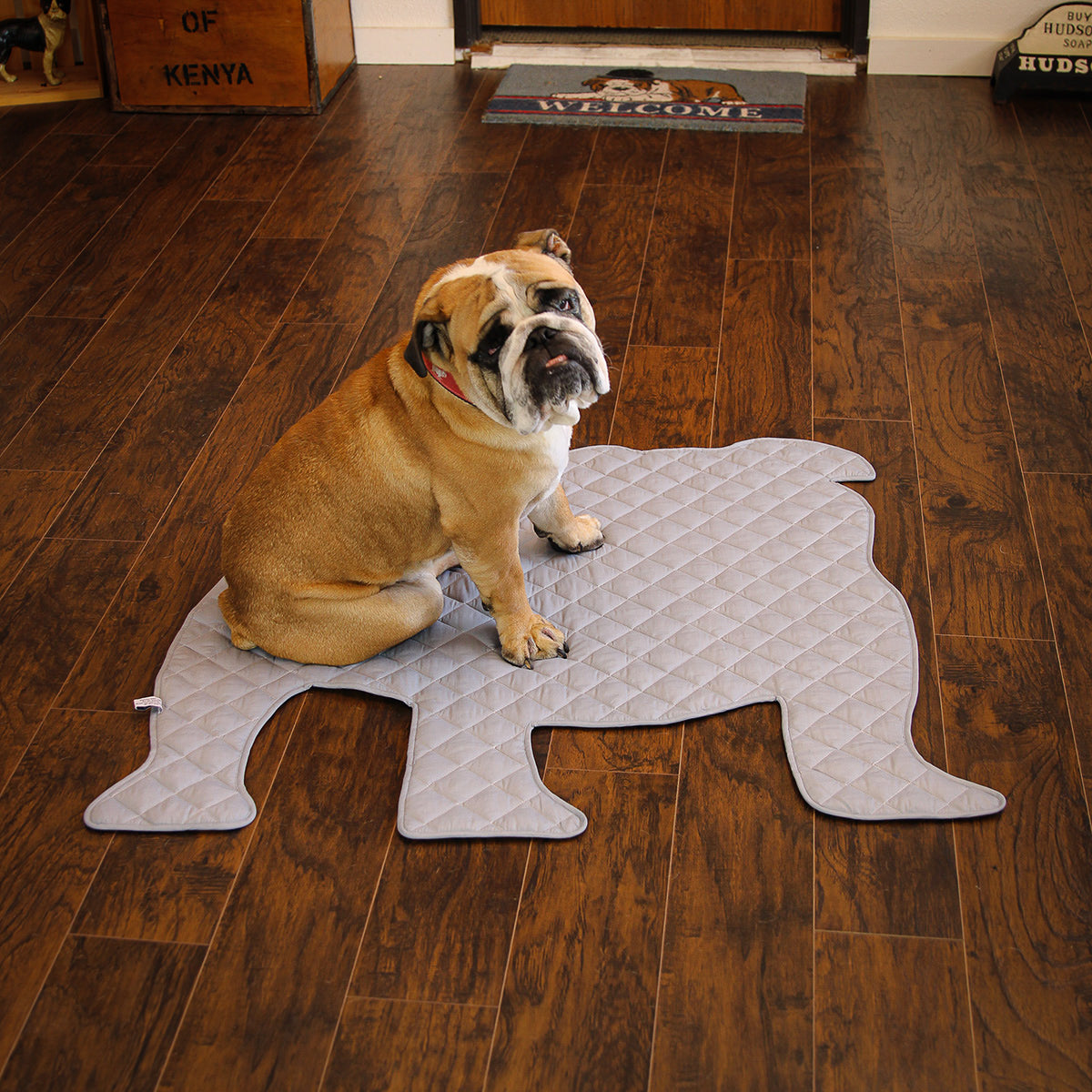 Load image into Gallery viewer, Bulldog Shape Dog Mat (Pale Blue)
