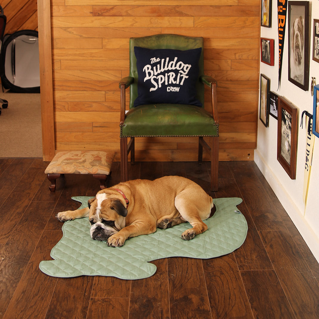 Bulldog Shape Dog Mat (Pale Green)