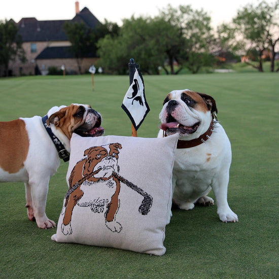 Bulldog Golf Pillow (Tan/Cream)