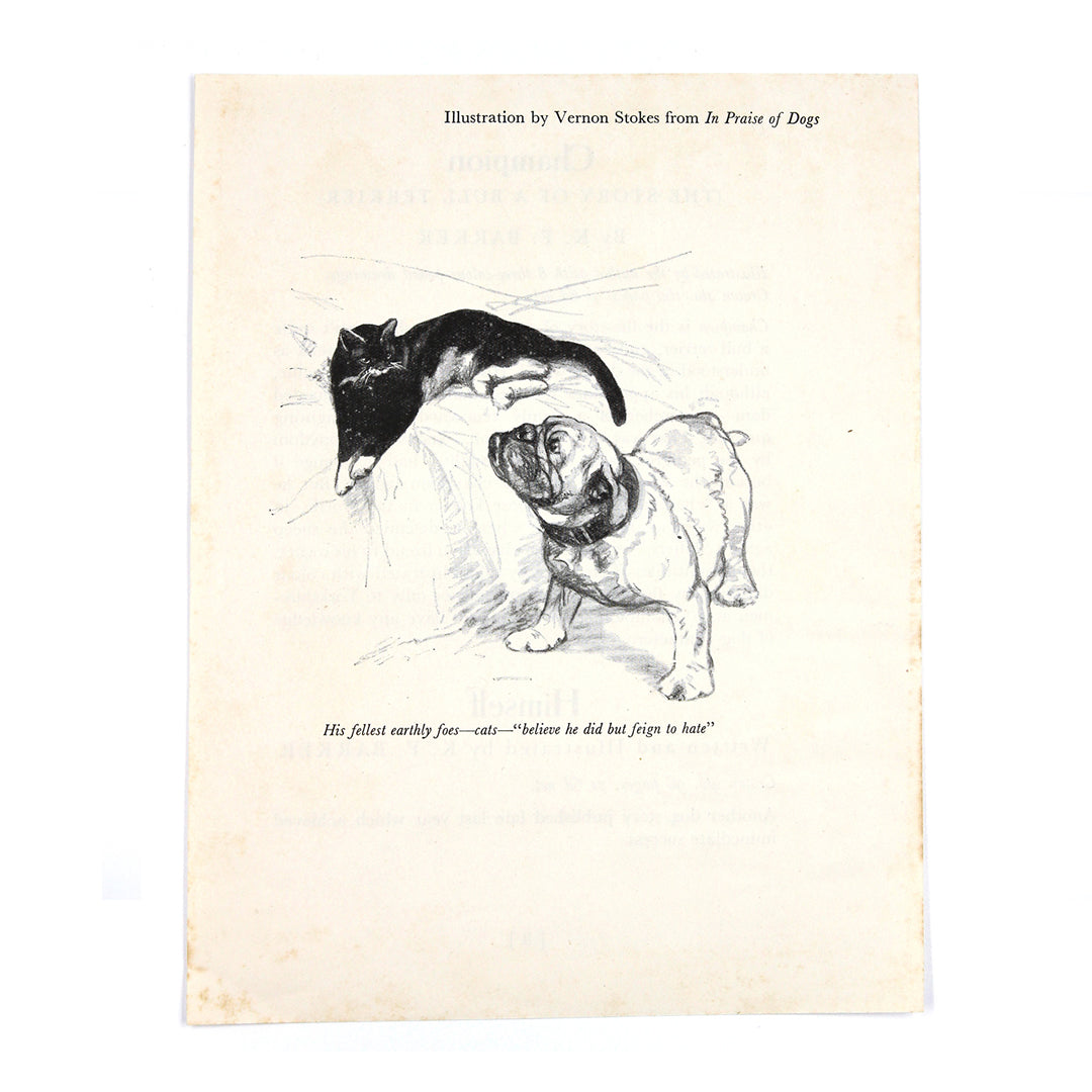 Vintage Bulldog Book Illustration, c.1936 - SOLD