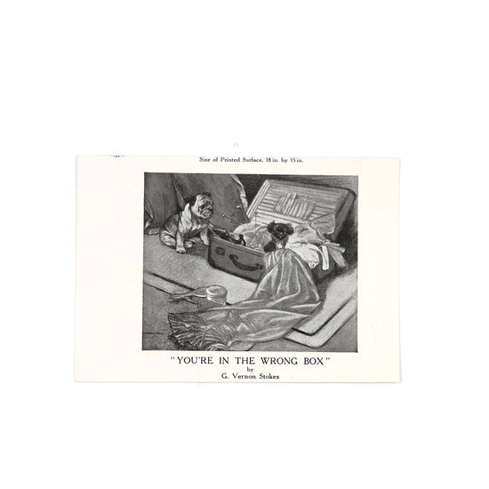 Vintage Bulldog Book Illustration 1, c.1922 - SOLD