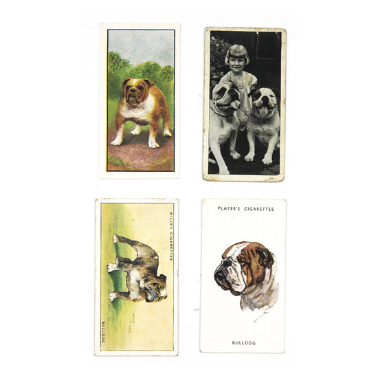 Vintage Bulldog Cigarette Cards x 4 - SOLD