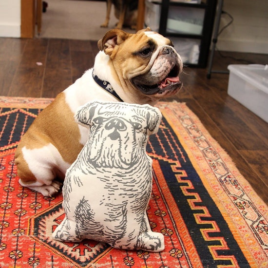 Muslin Bulldog Shaped Pillow