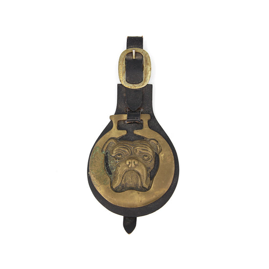 Vintage Bulldog Horse Brass