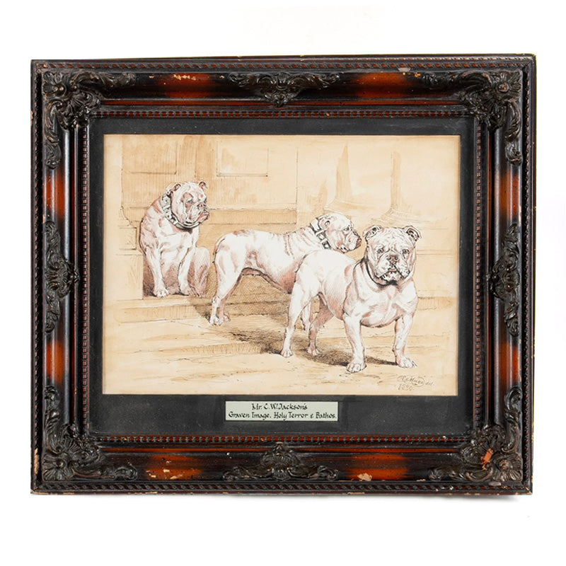 Framed Bulldogs Etching (1890)