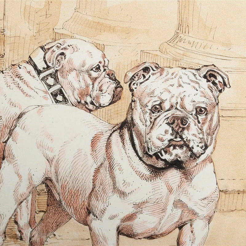 Framed Bulldogs Etching (1890)