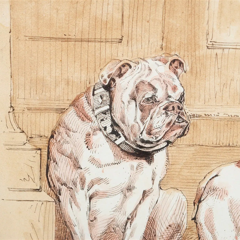 Framed Bulldogs Etching (1890)