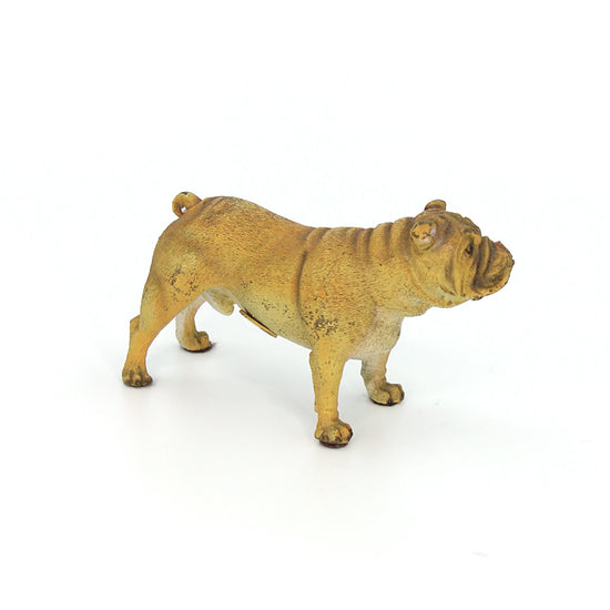 Austrian Cold Painted Bronze Bulldog 2