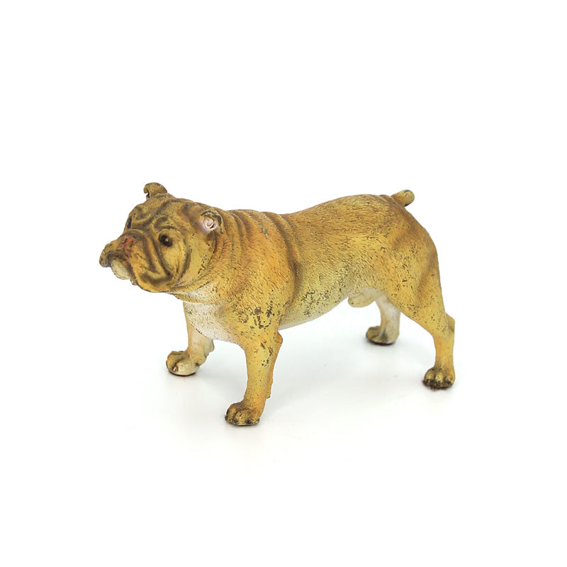 Austrian Cold Painted Bronze Bulldog 2