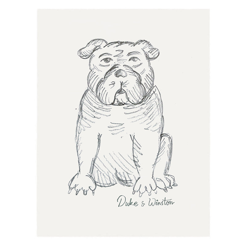 Sitting Bulldog Sketch Poster