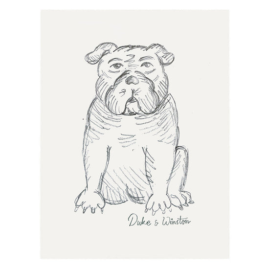 Sitting Bulldog Sketch Poster