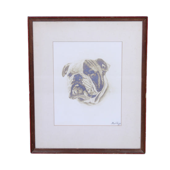 Vintage Bulldog Pencil Etching (1939) - SOLD