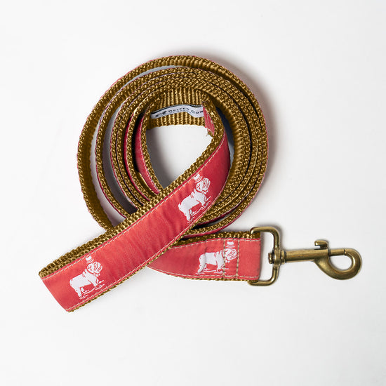 Load image into Gallery viewer, Signature Ribbon Leash (Nantucket Red)
