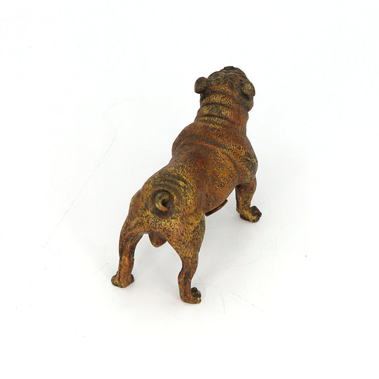 Austrian Cold Painted Bronze Bulldog