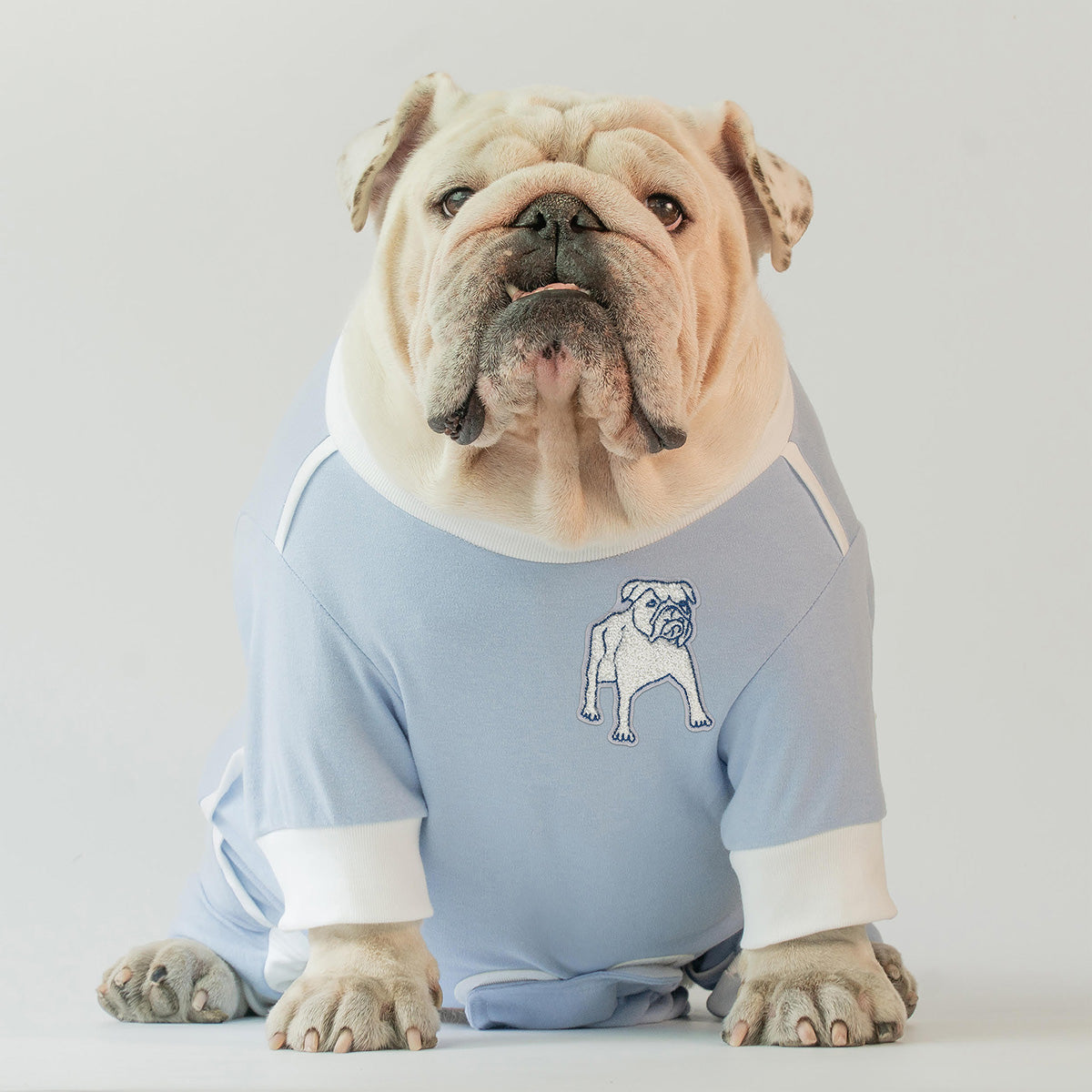 Load image into Gallery viewer, Bulldog Jammies (Blue)
