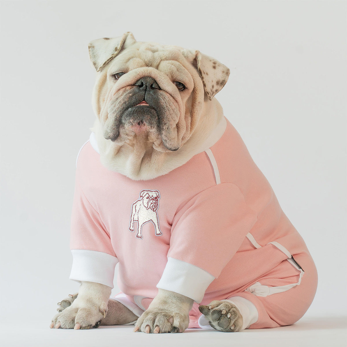 Load image into Gallery viewer, Bulldog Jammies (Pink)
