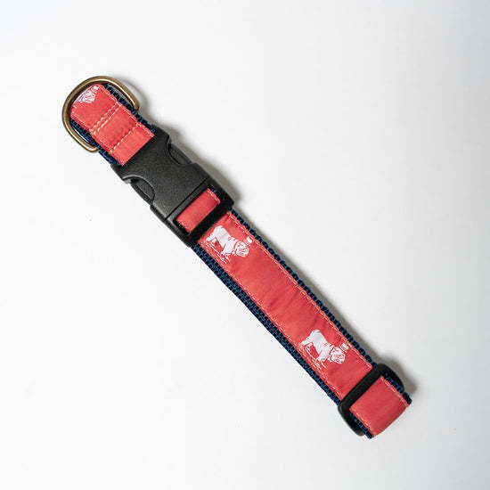 Signature Ribbon Collar (Nantucket Red)