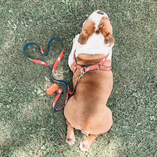 Load image into Gallery viewer, Signature Ribbon Leash (Nantucket Red)
