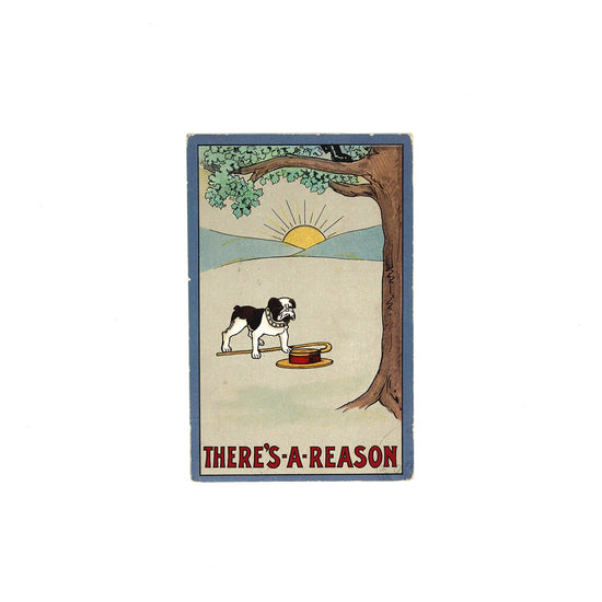 Vintage 1910 Bulldog Postcard - SOLD