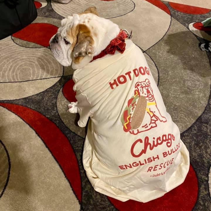 Chicago English Bulldog Rescue Tee