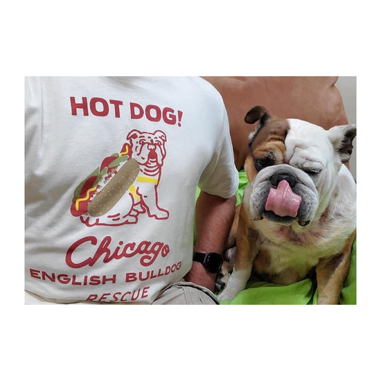 Chicago English Bulldog Rescue Tee